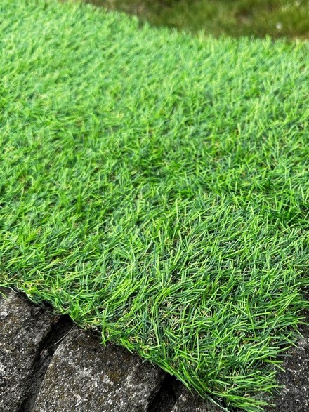   Virtual Landgrass 20 24