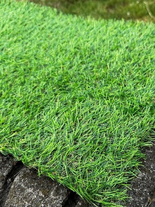   Virtual Landgrass 20 24