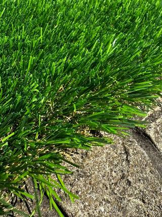  Virtual Landgrass 40 24