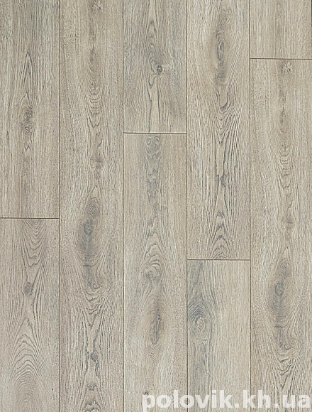 ������� ��������  ������ 536 W ��� ��� ��� ˳�