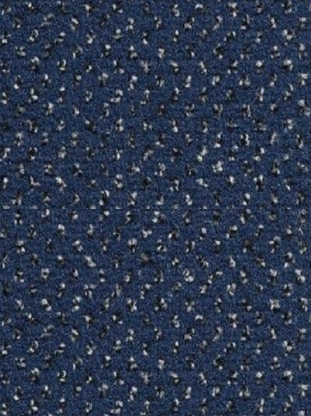       81 
