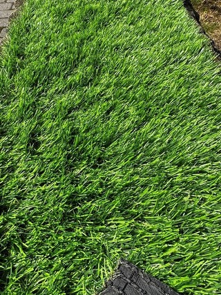   Virtual Landgrass 30 24
