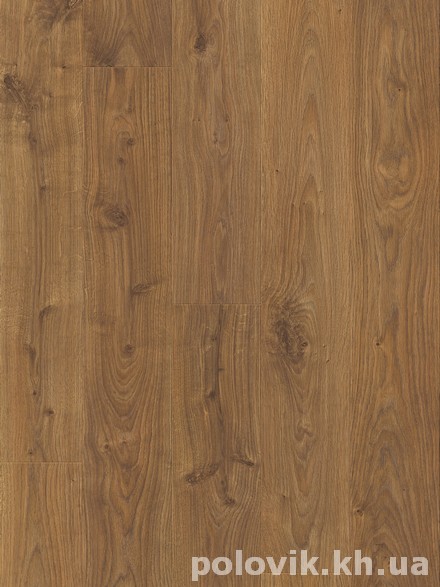 ������� ���� ����  ���� ��� UE 1492 ��� ����� ��� ����