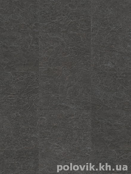       EXQ 1551      