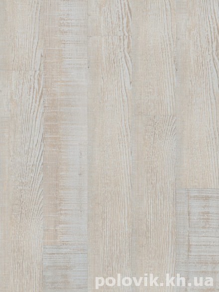 ��������� ������ �������  ���� ���  ����