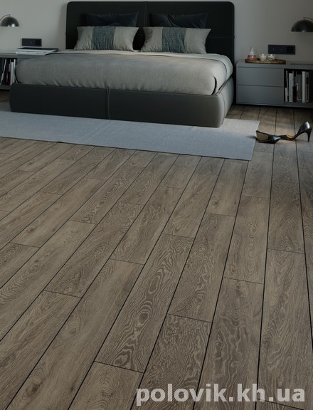 ������� �����  ����� ���� ������� ���� ����� ���� ������ ���� 513 �������