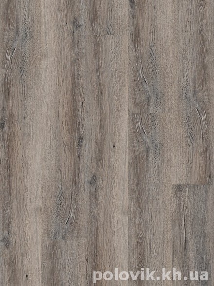 ��������� ������ �������  ���� ���  ������ ������