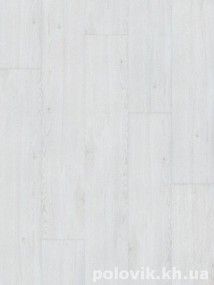 ��������� ������ �������  ���� ���  ����