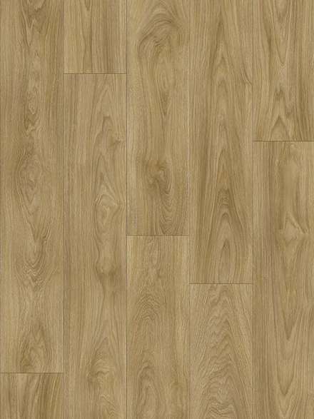 ��������� ������   ������� ���� ������� ��� 51262 ������� ���