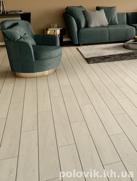 ������� �����  ����� ���� ������� ���� ����� ���� ������ ���� 524 �����