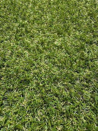   Virtual Landgrass 15 24