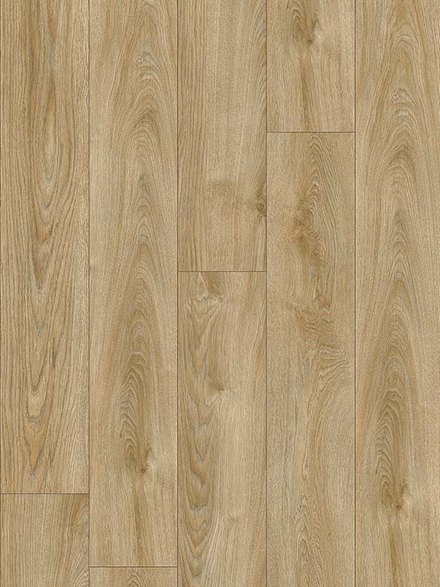 ��������� ������   ������ 22240 ��� ������� ��� ̳�����