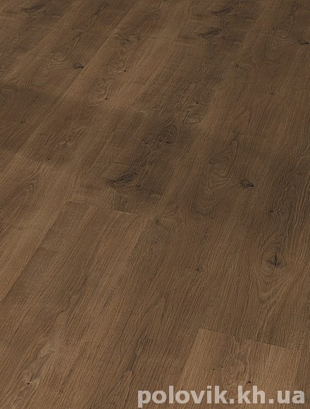      55  55 OFD-055-012 