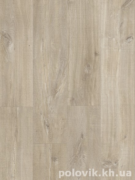          BAGP40031   -    - 