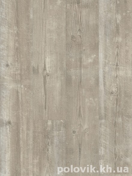 ��������� ������ ���� ����  ����� ����� ���� ����� ���� ���� AVMPU 40074 ����� �������� ����� ����� �������� �����