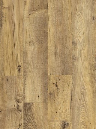          BACL40029      