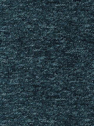 �������� ������ ������  ����� ���� 41 